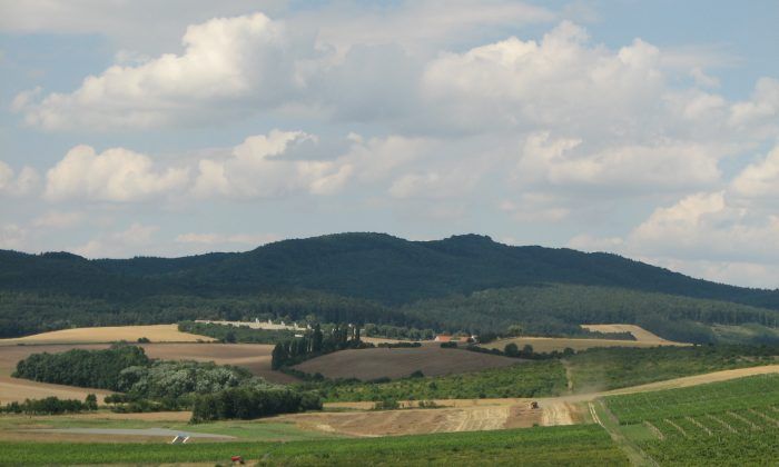 Chřiby